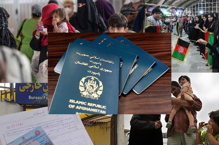 وکیل اتباع خارجی در مشهد